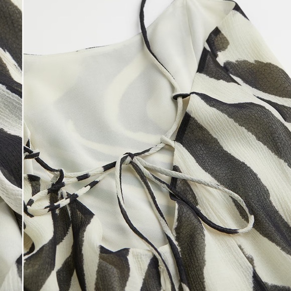 LOOKING FOR: Zebra Chiffon Ruffle Dress from H&M - Picture 2 of 4